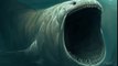 Biggest Animal Ever Recorded in the Ocean Depths