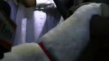 macky, accompagné de Marème, fait du waxalé et achéte son mouton