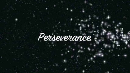 Perseverance or something