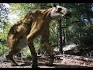 Most Amazing Creature of the World | You can't Believe it