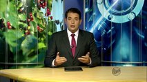 Testemunha de Jeová Morta em Minas Gerais atraída a uma cilada. Reportagem Tv Globo em 2013