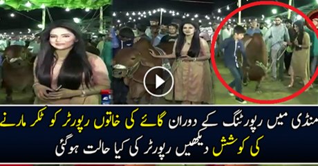 Mandi Mai Reporting K Doran Gae Ki Khatoon Ko Takr Mare Ki Kosish