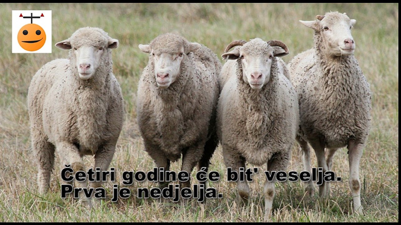Lik Katolik - 9/11 (Hajde da ludujemo)