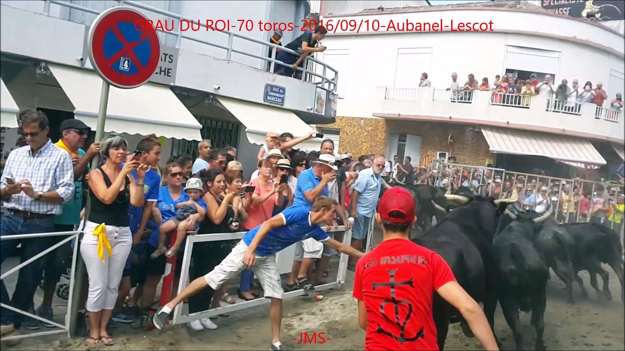 GRAU DU ROI-70 toros-2016-09-10-Soixante-dix taureaux-Aubanel-Lescot