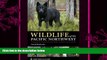 there is  Wildlife of the Pacific Northwest: Tracking and Identifying Mammals, Birds, Reptiles,