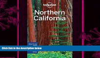 there is  Lonely Planet Northern California (Travel Guide)