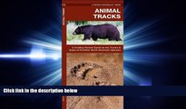 different   Animal Tracks: A Folding Pocket Guide to the Tracks   Signs of Familiar North