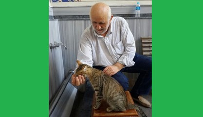AZİZ MAHMUT HÜDAİ DERGAHINDA SUSAYAN KEDİYE SU İKRAM ETTİK VİDEO Saim Çetin Emirler
