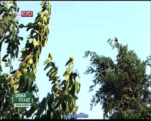 Halit Aydın-1 23-Ramazan 2016