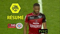 EA Guingamp - Montpellier Hérault SC (1-1)  - Résumé - (EAG-MHSC) / 2016-17