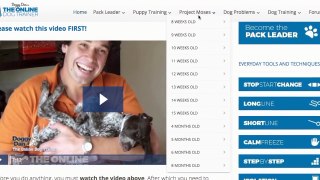 Perfect Dog Training System Review