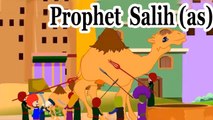 Salih (AS) - [Prophet story ( No Music)] - Islamic Cartoon