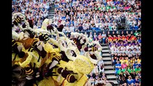Sublime ! Préparez-vous à en prendre plein les yeux avec la parade des fleurs de Corso Zundert !