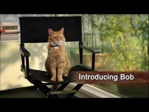 A street Cat Named Bob - Introducing Bob - At Cinemas November 4