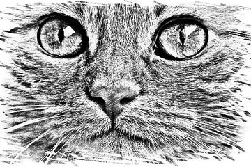 인천알바,전주도우미알바『검색↔찜알바』밤알바