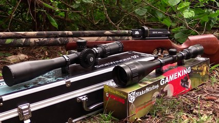 Cheap or Expensive Scopes - What is your choice?