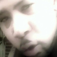 BICYCLE TONY " PITBULL TERRIER"