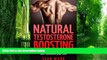 Big Deals  Testosterone: Natural Testosterone Boosting: A Guide To Skyrocket Testosterone and