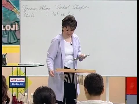 Fiziksel Olaylar, Işık Ve Ses 2 - İlköğretim 4. Sınıf Fen ve Teknoloji