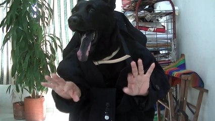 Hombre perro comiendo