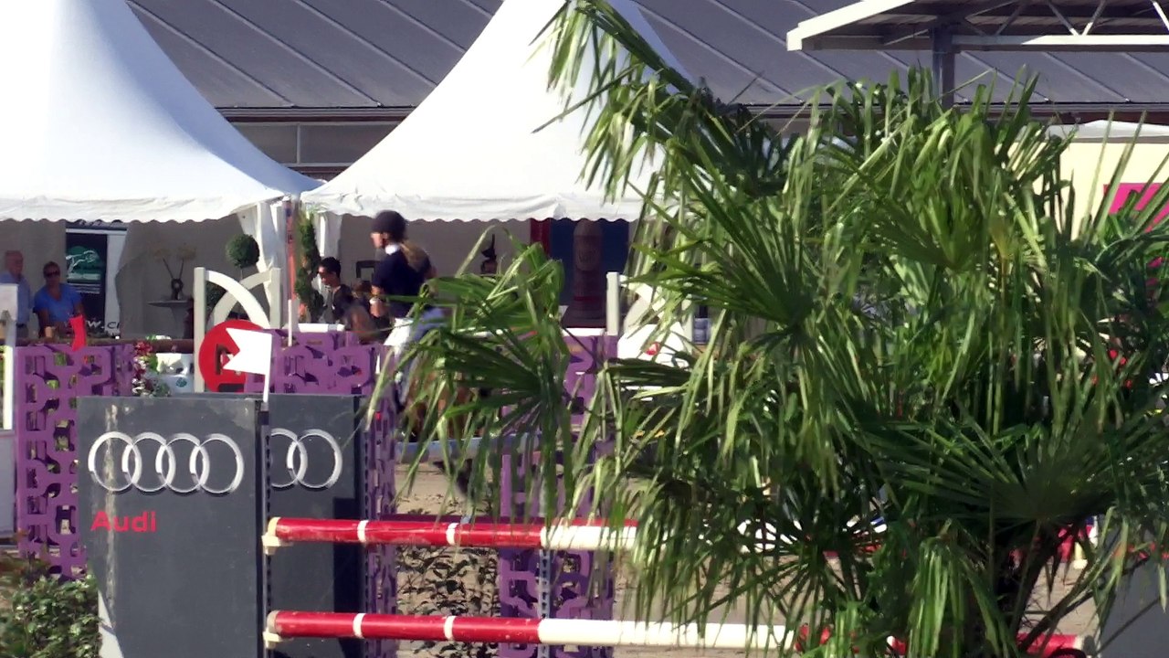 Vol de nuit Batilly CSI 7 ans 1m35 sept 2016