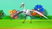 Learn English Birds Names-3D Animation-English Nursery Rhymes for Children