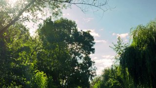 Speed dating, Le Marais poitevin, Mon Parc naturel d'attractions.