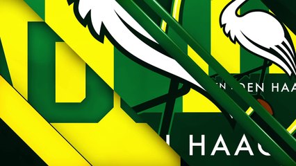 Les supporters lancent des peluches pour les enfants malades