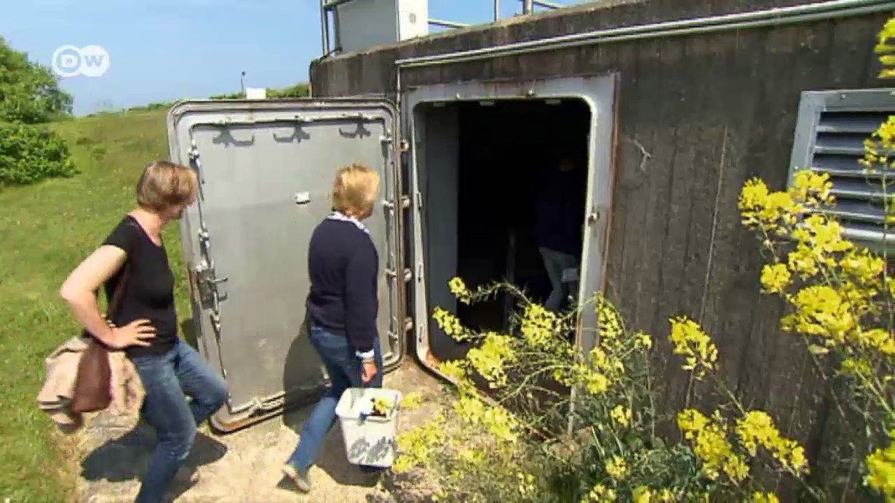 Sind die Meere noch zu retten? | Projekt Zukunft