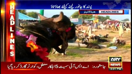 Headlines 1400 - 12th September 2016