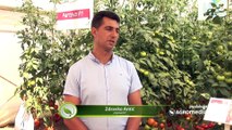 Vesti - Održan Dan polja kompanije „Agroarm“ u selu Vinarce!