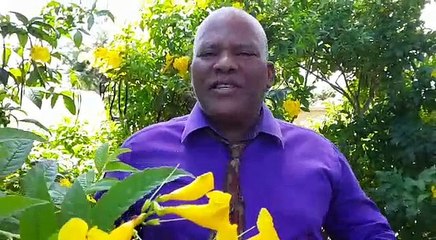 En Guyane, nous défendons le Touloulou - LTOM