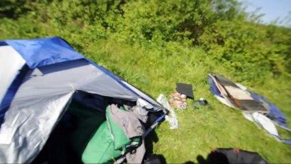 водные ржаки