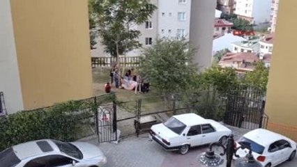 İstanbul'da Kaçak Kesim Manzaraları - 2