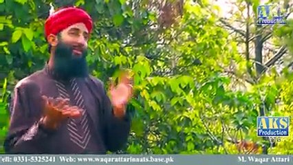 Ma talia nabi Dia Chumda Ja Ma Honda Khaak Madina di _By Muhammad Waqar Attari