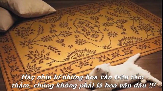 Top Những Bức Ảnh Bí Ẩn Mà 90% Người Xem Khổng Thể Giải Thích Được