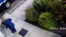 RAW: Cat fights back after being attacked by a little boy in Manchester, UK