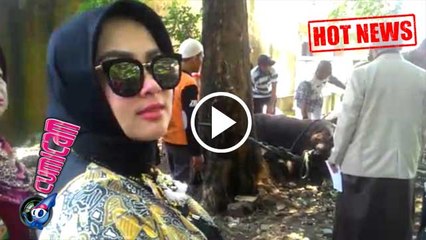 Hewan Qurban Ngamuk, Syahrini Ketakutan - Cumicam 12 September 2016