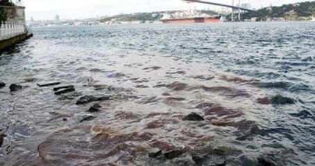 Boğaz'a Yine Kan Aktı