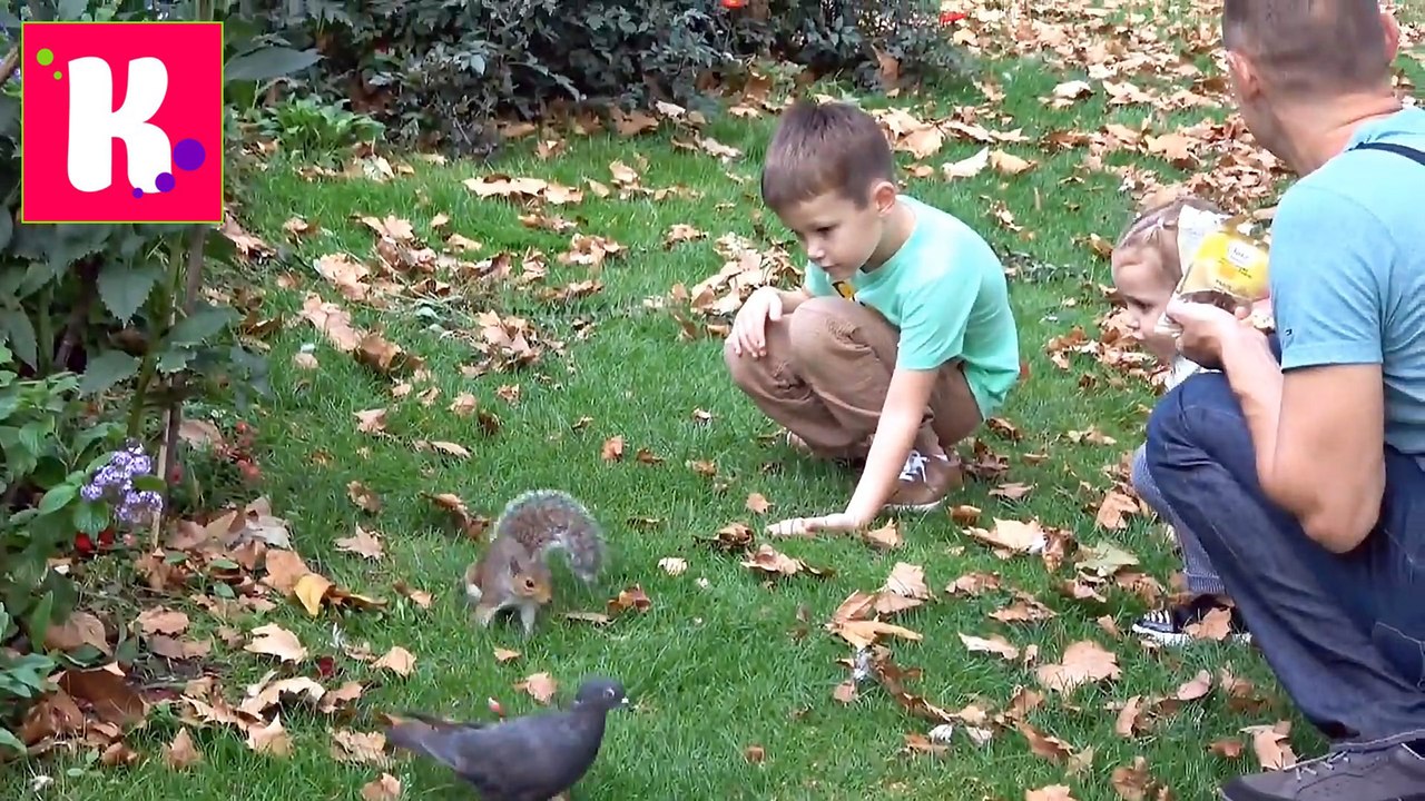 ВЛОГ Кати и Макса Белки едят наши орешки в Лондоне Вызываем Королеву гулять Мороженое у London Eye и ресторан наше новое видео 2016