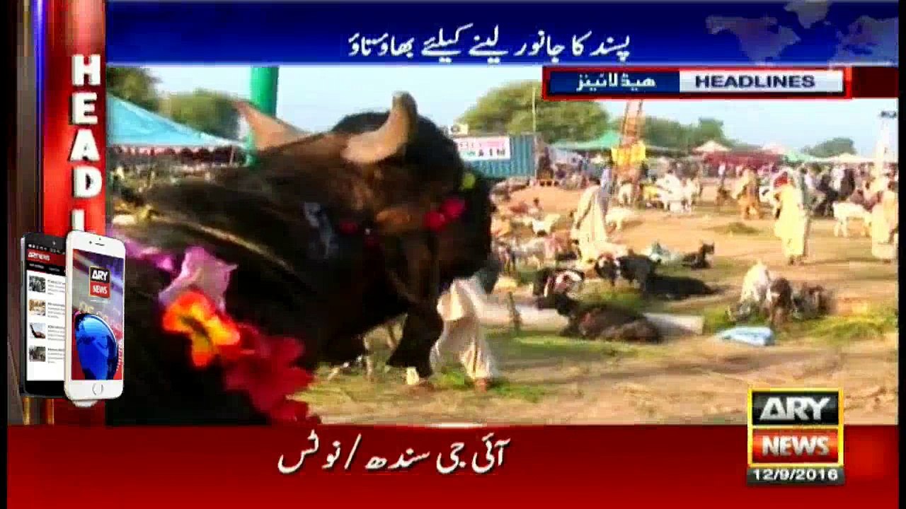 Headlines 1700 - 12th September 2016