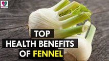 Top Health Benefits of Fennel - Health Sutra