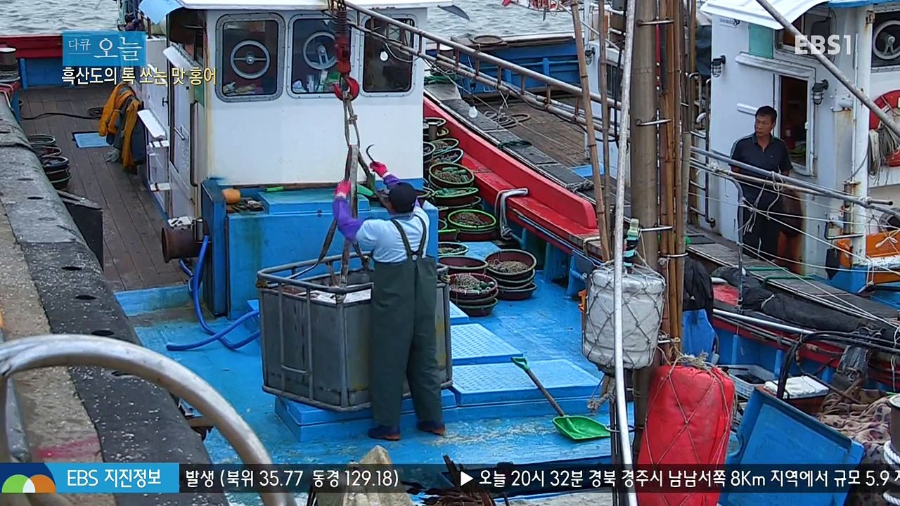 오늘