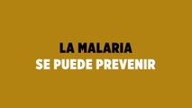 Nuevo fármaco podría prevenir y curar la malaria con una dosis