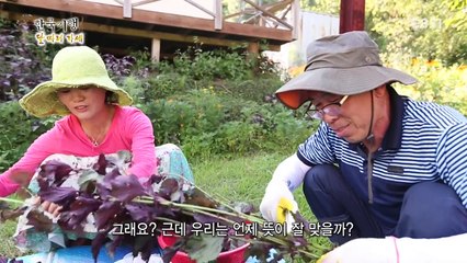 기행