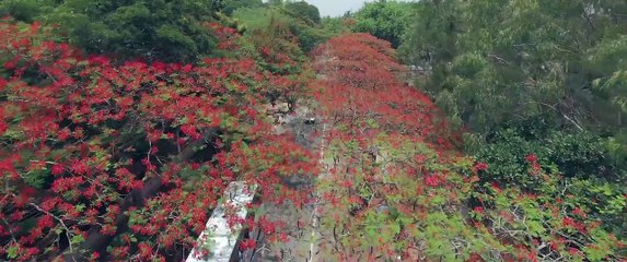 Aanandam Official Trailer | Malayalam Movie | 4K | 2016