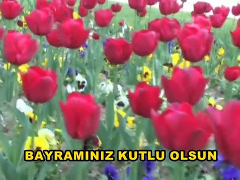 BELKIS AKKALE BAYRAMLAŞALIM ⁄ Haydar ALÇIK