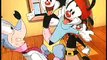 ANIMANIACS VOL 1/PINKY AND THE BRAIN VOL 1 DVD TRAILER