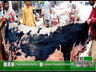 Eid-ul-Azha Package for Eid